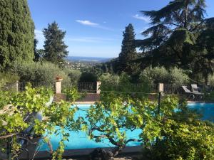 vistas a la piscina desde el jardín en Residence Lou Naouc en Grasse