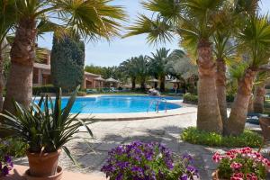 a resort swimming pool with palm trees and flowers at Agroturismo Son Marge in Campos