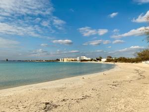 een uitzicht op een strand met gebouwen op de achtergrond bij IONIO Apartment in Porto Cesareo