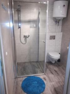 uma casa de banho com um chuveiro, um WC e um tapete azul em Domek letniskowy Ada, Gabrysia, Alan Wieleń em Osłonin