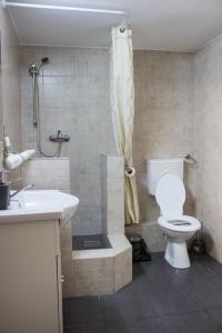 a bathroom with a toilet and a shower and a sink at Antorcha in Turda