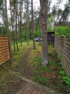 a yard with a fence and a tree at NA GWiZDÓWCE DOM 35, ZAŁAKOWO, KASZUBY in Załakowo +5 photos
