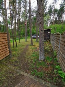 a yard with a fence and a tree at NA GWiZDÓWCE DOM 35, ZAŁAKOWO, KASZUBY in Załakowo