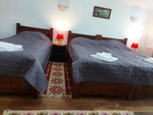 Postel nebo postele na pokoji v ubytování Pensiunea Albina