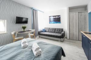 TV a/nebo společenská místnost v ubytování Pokoje, Noclegi, Apartamenty Dune Resort Łeba