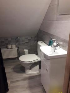 a bathroom with a toilet and a sink at Apartament pod lasem in Bandrów Narodowy
