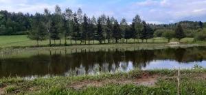 a pond with trees in the middle of a field at Apartament pod lasem in Bandrów Narodowy