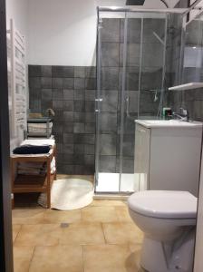 La salle de bains est pourvue d'une douche, de toilettes et d'un lavabo. dans l'établissement Apartloisir, à Malaucène