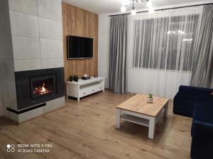 a living room with a fireplace and a blue couch at U Sadzy in Krajno Pierwsze