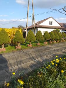une rue avec une rangée d'arbres et de fleurs dans l'établissement Domek pod Przehybą, Noclegi w okolicy Stary Sącz, Łącko, Szczawnica, à Gołkowice