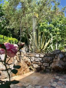 Imagen de la galería de Villa paradiso, en Maratea