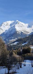 een met sneeuw bedekte berg met bomen ervoor bij Appartement idéal été ou hiver, pour skieurs et promeneurs, 4 personnes in Saint-Gervais-les-Bains
