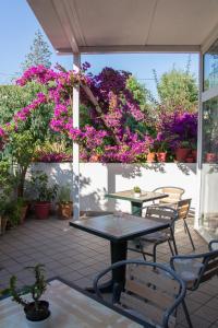 Zahrada ubytování Hotel Villa Cecilia