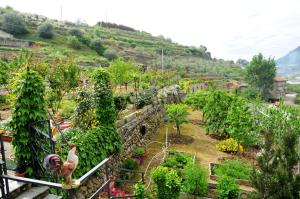 San Biagio della CimaにあるLe Roseのバルコニー付きの庭園
