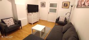 TV a/nebo společenská místnost v ubytování FSQH UNDER Apartman
