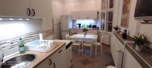 Kuchyň nebo kuchyňský kout v ubytování FSQH UNDER Apartman + 33 fotografií