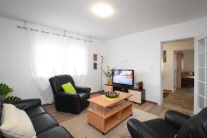 a living room with a couch and chairs and a tv at Oasis House in Kladovo