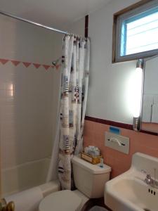 La salle de bains est pourvue de toilettes et d'un rideau de douche. dans l'établissement Town & Beach Motel, à Falmouth