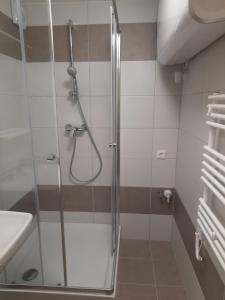 W łazience znajduje się prysznic ze szklanymi drzwiami. w obiekcie Vandus apartman w Siófoku