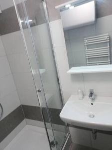 łazienka z prysznicem i umywalką w obiekcie Vandus apartman w Siófoku