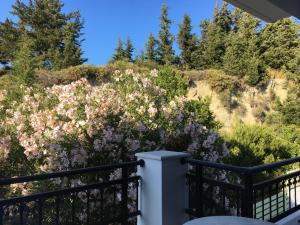 Gallery image of Seascape Village in Kalithies