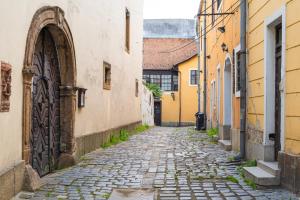 an alley in an old town with a cobblestone street at Lotus apartment in Szentendre