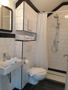 y baño con aseo, lavabo y ducha. en Oleander Hof, en Hochstadt