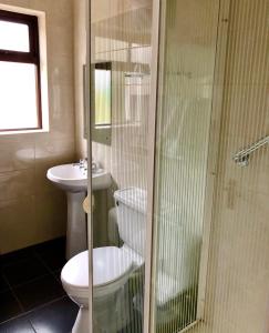 Derrynane Bay House tesisinde bir banyo