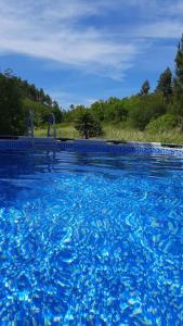 フィゲイロー・ドス・ヴィーニョスにあるvale das cupulasの青い水の大きなプール(木々を背景に)