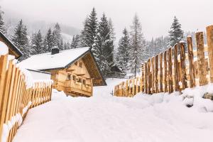 Bergseegut Chalet und Apartment v zime