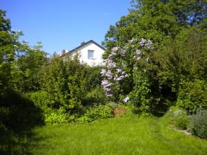 Zahrada ubytování Ferienwohnung "Eifelstueffje"