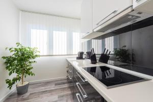 Kuchyňa alebo kuchynka v ubytovaní Porta Aurea di Spalato, Luxury apartment