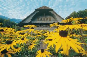 Fotografie z fotogalerie ubytování 2 Zimmerwohnung Homestay Brienz Spanischgässli v destinaci Brienz