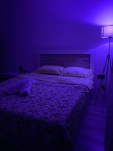 a bedroom with a bed in a purple room at Emre Guest Apartment Near İstanbul Airport in Istanbul