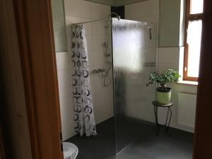 a bathroom with a shower with a plant in it at Ferienwohnung Rust in Oranienbaum-Wörlitz