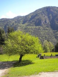 Paesaggio naturale nelle vicinanze del bed & breakfast