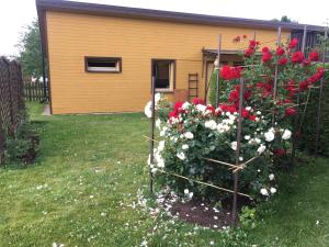 a garden with red and white flowers in front of a house at Rojas Rodes in Roja
