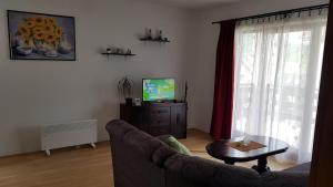 Apartman Jovanović في باغينا باستا: غرفة معيشة مع أريكة وتلفزيون