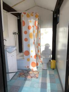 a bathroom with a toilet and a shower curtain at Sielanka Mazury in Szczytno