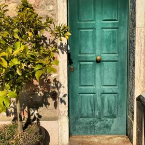 una puerta verde en una casa con una planta en Paradiso Imperfetto Rooms, en San Zeno di Montagna