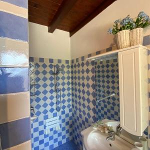 een badkamer met blauwe en witte tegels en een wastafel bij Paradiso Imperfetto Rooms in San Zeno di Montagna