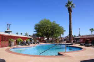 uma piscina com cadeiras e uma palmeira em Sterling Gardens em Las Vegas