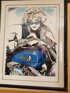 哈奇Galaxy of Harley Bikers Between Bryce and Zion的相册照片