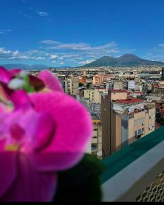un fiore rosa seduto sopra un edificio di B&B Napoli's Rooftop a Napoli