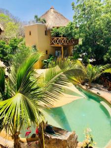 un complexe avec un palmier en face d'une piscine dans l'établissement Carpe Diem Casitas & Villas Mazunte, à Mazunte