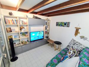a living room with a couch and a tv at T2 à 300m de la plage in La Saline Les hauts 