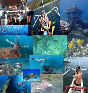 eine Collage von Fotos von Menschen, die im Meer tauchen in der Unterkunft Sama Sama Amed in Amed