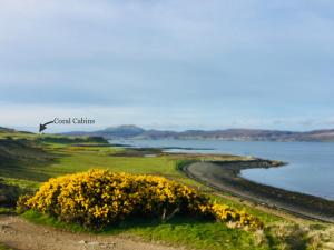 a view of the ocean from a hill with yellow flowers at Coral Cabins in Dunvegan