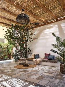 a patio with couches and a tree and a ceiling at Shellona Rooms & Apartments in Zakynthos