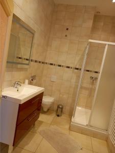 a bathroom with a shower and a sink and a toilet at Le Chateau de Buchy in Buchy